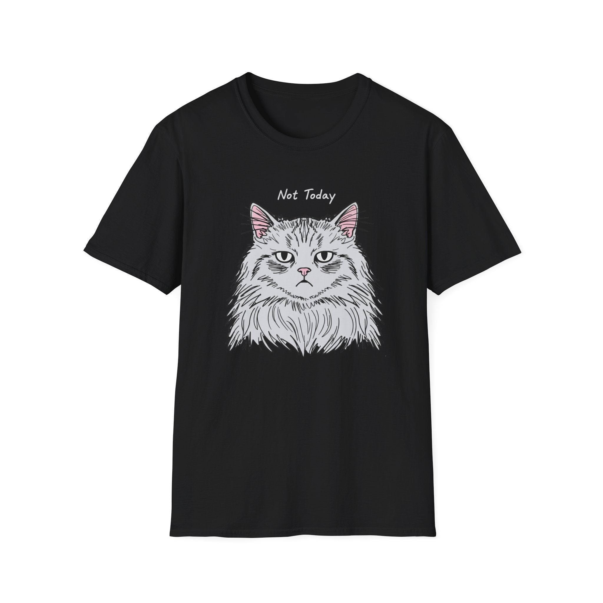 Not Today Grumpy Cat T-Shirt