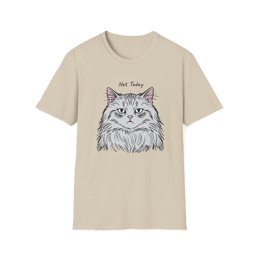 Not Today Grumpy Cat T-Shirt