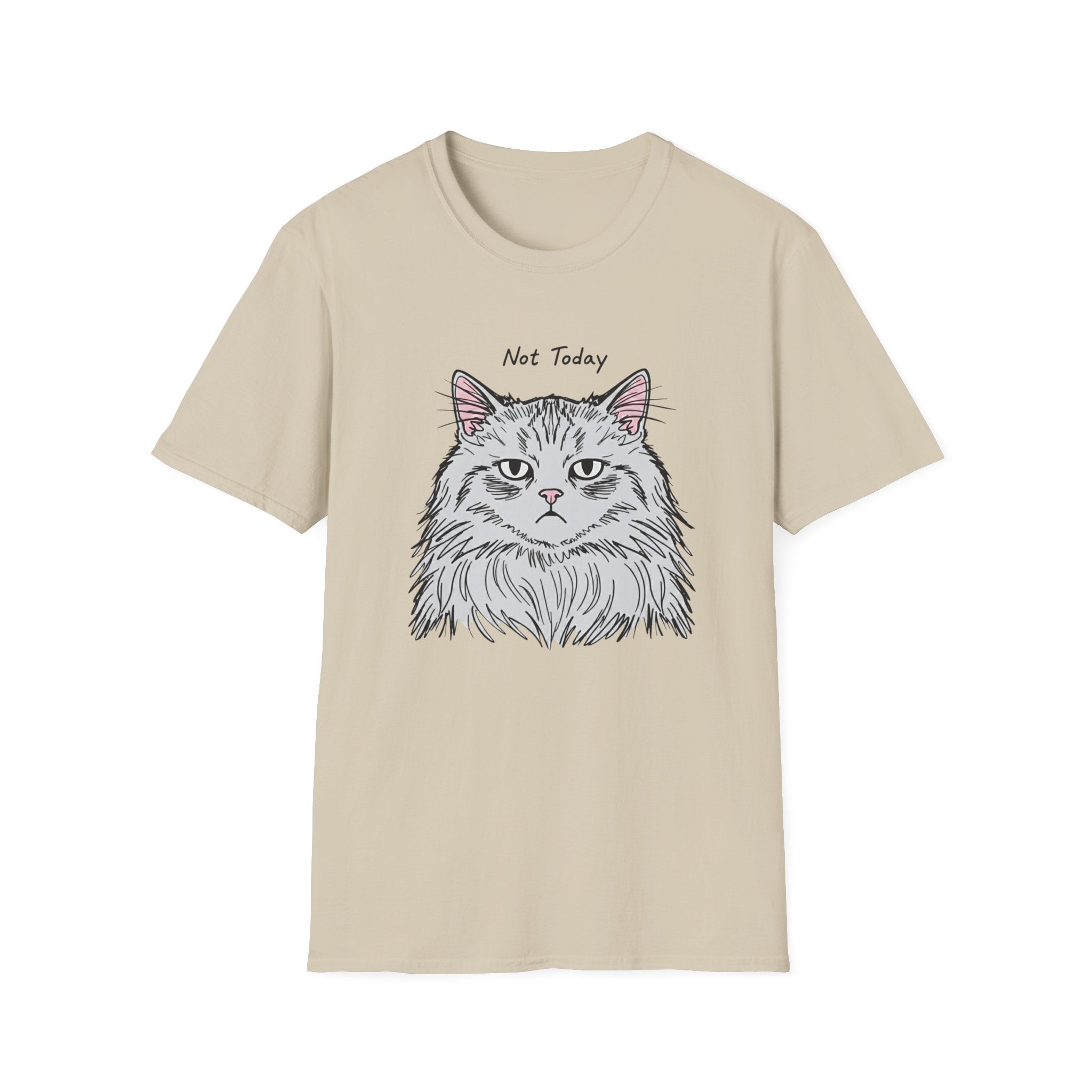 Not Today Grumpy Cat T-Shirt