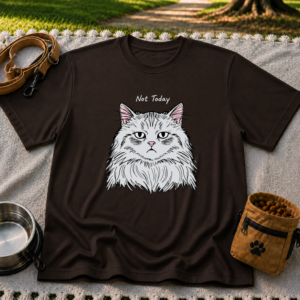 Not Today Grumpy Cat T-Shirt