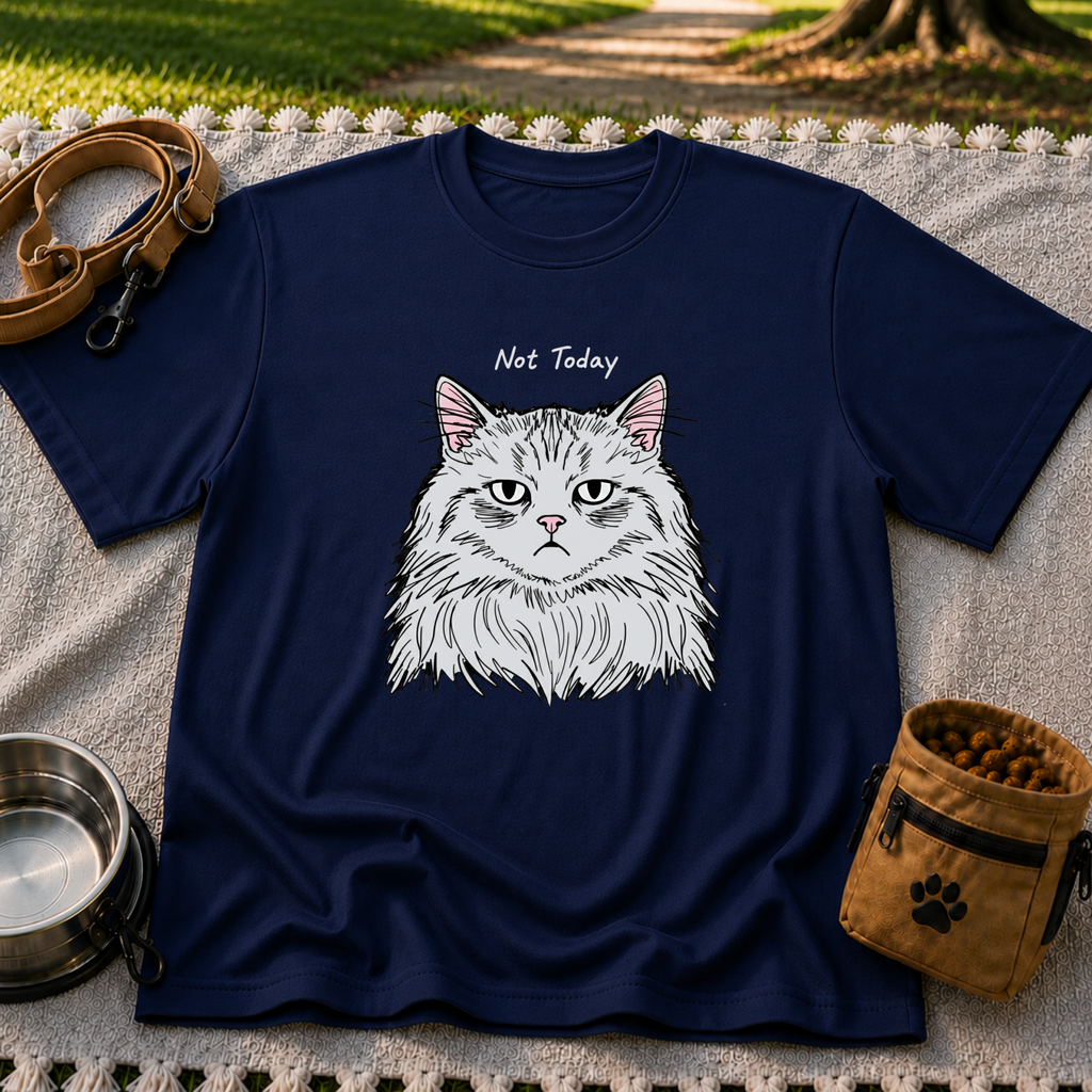 Not Today Grumpy Cat T-Shirt