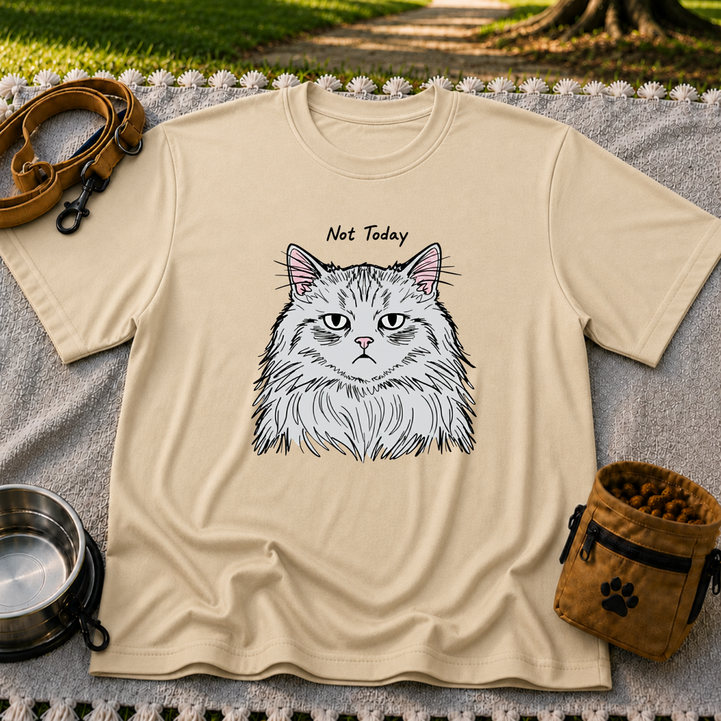 Not Today Grumpy Cat T-Shirt