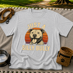 TT-SILLY-BULLY-CORRECTION-V01 STOREFRONT MOCKUP — Sport Grey